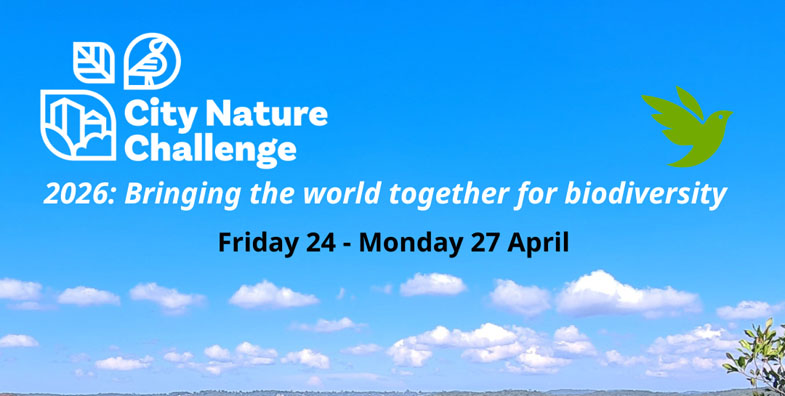City nature challenge