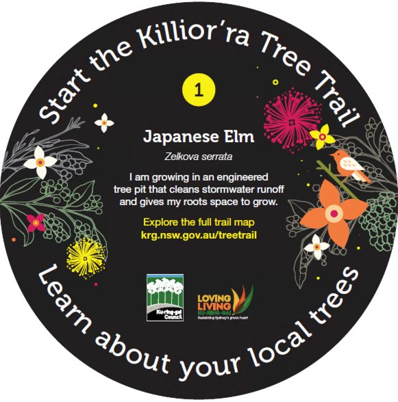 TreeTrail