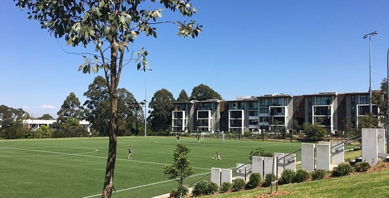 Charles Bean synthetic surface replacement – an opportunity to change to natural grass
