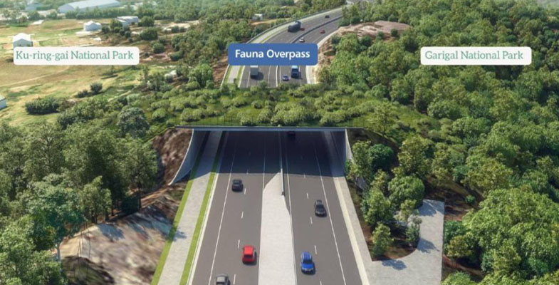 Fauna crossings over widened Mona Vale Road 