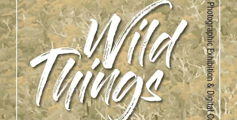 WildThings Welded Art Exhibition