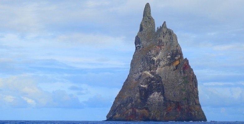Lord Howe Island Rodent Eradication Declared a Success