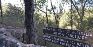 Ahimsa: A Story of Bushland Protection