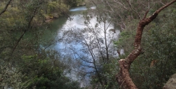 Lane Cove National Park to Gain some Land near M2