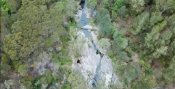 Lane Cove River restoration – the Durumbura Dhurabang stakeholder project