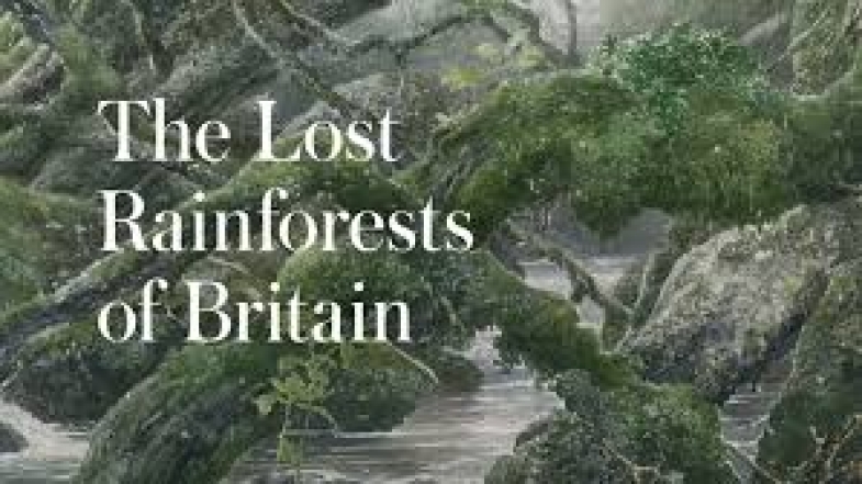 Book review: The Lost Rainforests of Britain