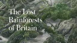 Book review: The Lost Rainforests of Britain