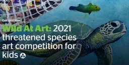 Wild At Art: Threatened Species Art Competition for Kids