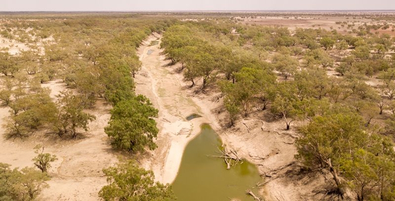 Murray-Darling Basin Plan: Too Little, Too Late