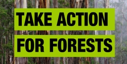 Take action for forests